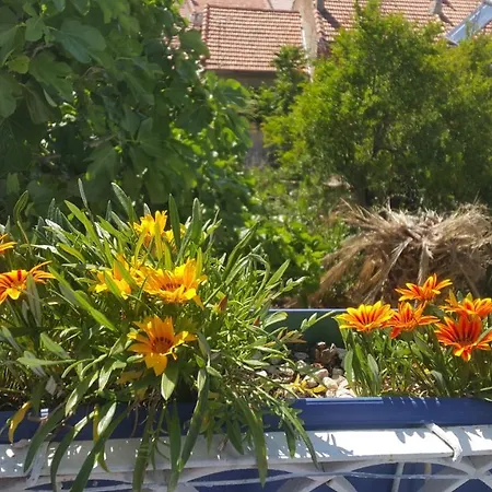 Melekler Ayvalik